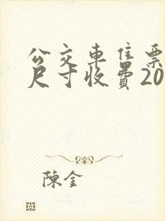 公交车售票员按尺寸收费20cm