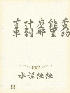 有什么能查公交车到哪里的软件