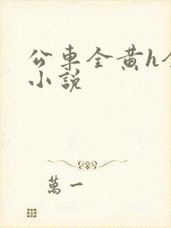 公车全黄h全肉小说
