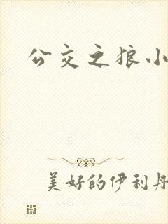 公交之狼小说