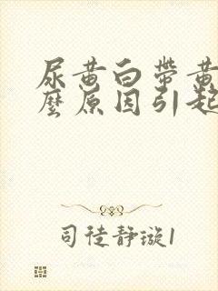 尿黄白带黄是什么原因引起的