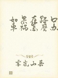 如果在路口发生车祸怎么办