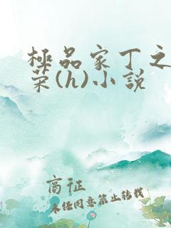 极品家丁之林晚荣(h)小说