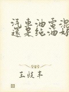 汽车油电混动好还是纯油好