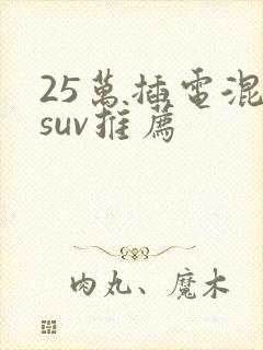 25万插电混动suv推荐