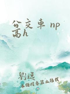 公交车 np 高h