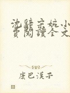 沈辞宋婉小说免费阅读全文无弹窗