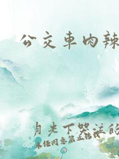 公交车肉辣文