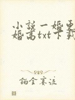 小说一婚更比一婚高txt下载