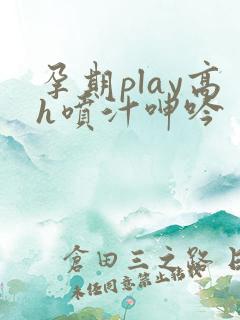 孕期play高h喷汁呻吟