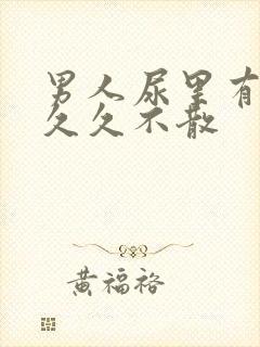 男人尿里有泡沫久久不散