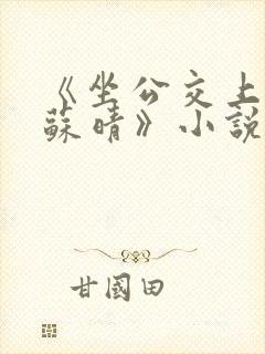 《坐公交上班的苏晴》小说免费阅读