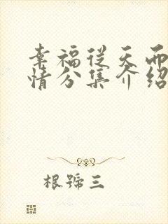 幸福从天而降剧情分集介绍
