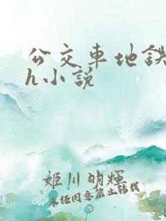 公交车地铁顶臀h小说
