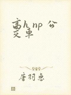高h np 公交车
