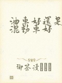 油车好还是油电混动车好