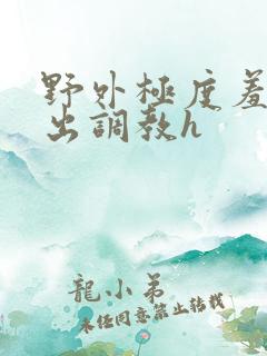 野外极度羞耻露出调教h