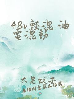 48v轻混 油电混动