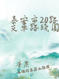 泰安市20路公交车路线图