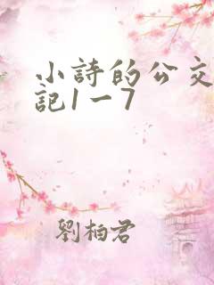 小诗的公交车日记1一7