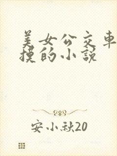 美女公交车上被摸的小说