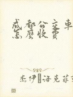成都公交车儿童怎么收费