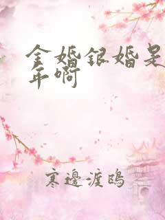 金婚银婚是多少年啊