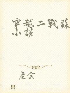 穿越二战苏联的小说