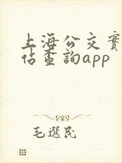 上海公交实时到站查询app