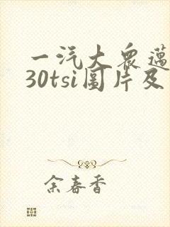 一汽大众迈腾330tsi图片及报价
