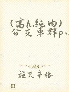 (高h,纯肉)公交车群p小说