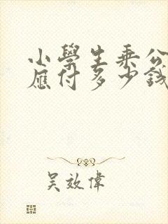小学生乘公交车应付多少钱