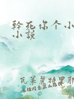干死你个小骚货小说