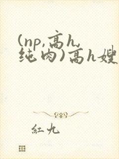 (np,高h,纯肉)高h嫂子