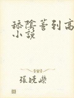舔阴蒂到高潮的小说