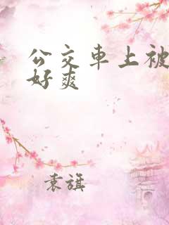 公交车上被插的好爽