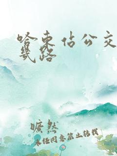 哈东站公交车有几路