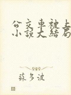 公交车被上高潮小说大结局