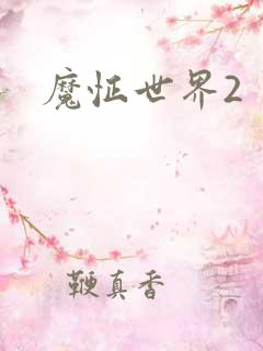 魔怔世界2