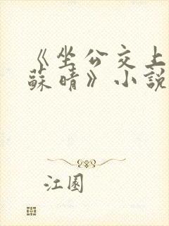 《坐公交上班的苏晴》小说免费阅读