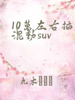 10万左右插电混动suv