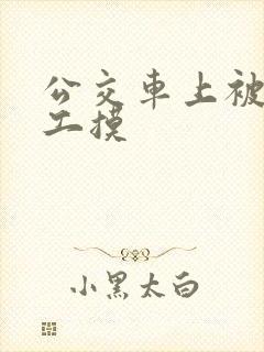 公交车上被农民工摸
