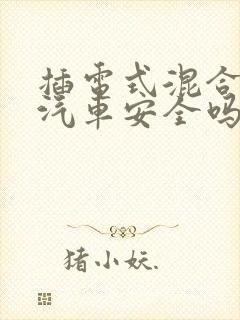 插电式混合动力汽车安全吗