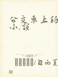 公交车上的爱爱小.说