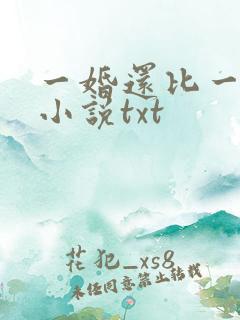 一婚还比一婚高小说txt