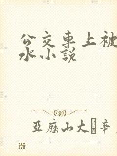 公交车上被蹭出水小说