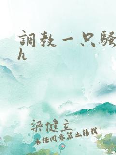 调教一只骚母狗h