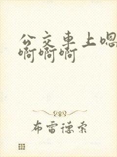 公交车上嗯嗯嗯啊啊啊