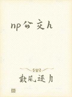 np公交h