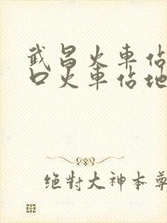 武昌火车站去汉口火车站地铁怎么坐